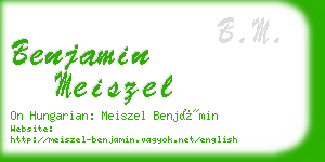 benjamin meiszel business card